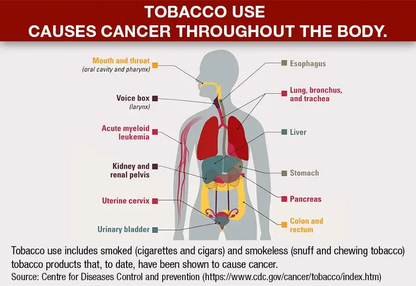 Tobacco user causes throughout body