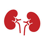 Kidney Disease