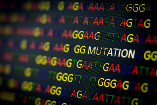 Heredity Play in Cancer