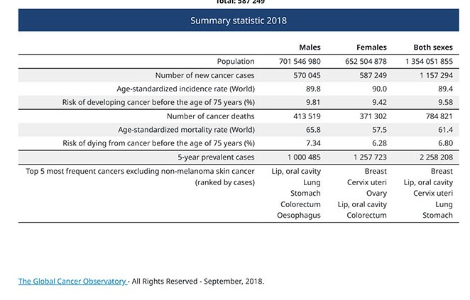 Summary Stastick 2018