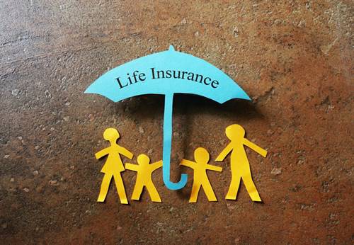 two main life insurance policy in India
