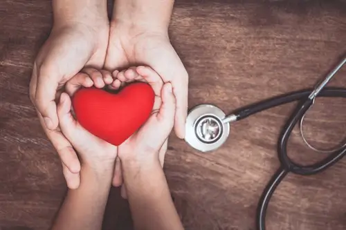 benefits of heart insurance